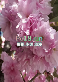 调 教室.com